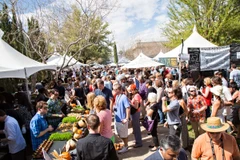 Sự kiện thu hút rất đông công chúng tham gia khi tổ chức ở các nước trên thế giới. (Ảnh: BTC)