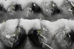 Ảnh minh họa. (Nguồn: Reuters)