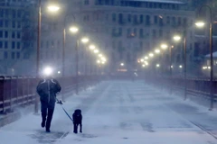 (Nguồn: Philly.com)