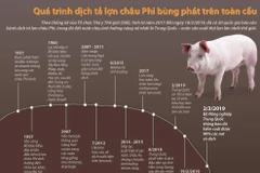 [Infographics] Quá trình dịch tả lợn châu Phi bùng phát trên toàn cầu
