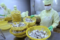  Đóng sản phẩm tôm xuất khẩu tại nhà máy của Công ty Cổ phần thủy sản Minh Phú Hậu Giang. (Ảnh: Vũ Sinh/TTXVN)