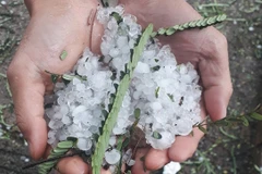 Mưa đá tại trung tâm huyện Mường Nhé, tỉnh Điện Biên ngày 17/2. (Ảnh: Xuân Tư/TTXVN)