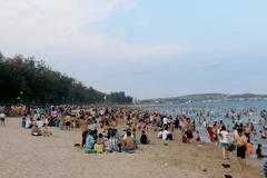 Bãi biển Đồi Dương, thành phố Phan Thiết. Ảnh minh họa. (Ảnh: Nguyễn Thanh/TTXVN)