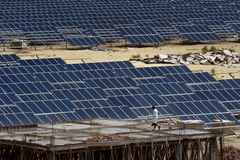 (Nguồn: AFP/TTXVN)