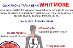 [Infographics] Những cách phòng tránh bệnh Whitmore nguy hiểm