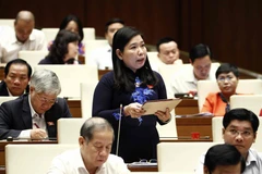 Bà Hồ Thị Cẩm Đào phát biểu tại Quốc hội. (Ảnh: Văn Điệp/TTXVN)
