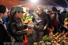 Khách mua hàng ở Chợ Viềng. (Nguồn: TTXVN)