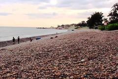 Quyết liệt xử lý vụ vụ bãi đá 7 màu nổi tiếng ở Bình Thuận bị xâm hại