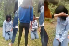 Nghệ An: Thông tin chính thức về vụ việc nữ sinh đánh bạn ở Diễn Châu