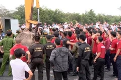 Công an đang tiến hành điều tra lãnh đạo và công ty địa ốc Alibaba