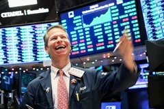 Ảnh minh họa. (Nguồn: THX/TTXVN)