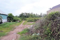 Kỷ luật cảnh cáo ba cán bộ liên quan đến vụ lừa đảo bán đất ở Bạc Liêu