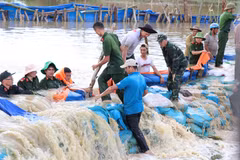 Lực lượng công an, quân đội cùng người dân khắc phục sự cố vỡ đê Quảng Điền. (Ảnh: Tuấn Anh/TTXVN)