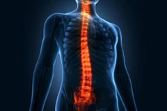 Ảnh minh họa. (Nguồn: froedtert.com)