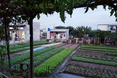 TP.HCM hỗ trợ người dân bị giải tỏa ở khu đất xây cụm trường công lập