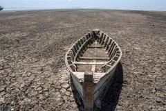 Ảnh minh họa. (Nguồn: PressTV)