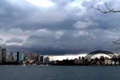 (Nguồn: newmatilda.com)