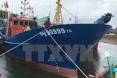 Tàu Biển Đông 01 trong ngày bàn giao. (Ảnh: Đinh Thị Hương/TTXVN)