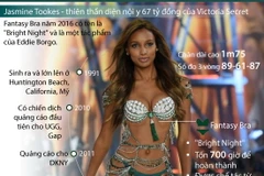[Infographics] Jasmine Tookes - Thiên thần diện nội y 67 tỷ đồng