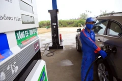 Ảnh chỉ có tính minh họa. (Ảnh: Huy Hoàng/TTXVN)