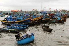 Các tàu neo đậu tránh áp thấp nhiệt đới tại cảng cá Phan Thiết, tỉnh Bình Thuận. (Ảnh: An Hiếu/TTXVN)