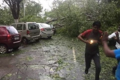 Bão Vardah đang tiến vào Ấn Độ. (Nguồn: indianexpress.com)