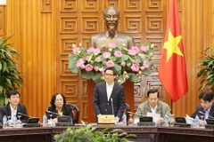 Phó Thủ tướng Vũ Đức Đam phát biểu tại hội nghị. (Ảnh: Phương Hoa/TTXVN)