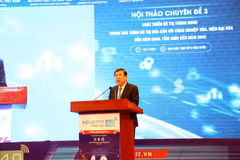 Tiến sỹ Nguyễn Thành Phong, Phó Ban Kinh tế Trung ương phát biểu. (Ảnh: Vietnam+)