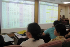 Ảnh minh họa. (Nguồn: PV/Vietnam+)