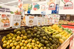 So với cùng kỳ năm trước, CPI tháng Chín tăng 2,06% và CPI bình quân quý 3 tăng 2,51%. (Ảnh minh họa/Vietnam+)