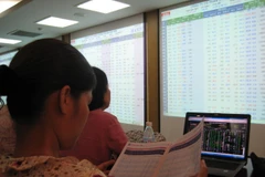 Ảnh minh họa. (Nguồn: PV/Vietnam+)