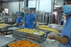 Số doanh nghiệp đăng ký thành lập mới chỉ đạt 3.899 doanh nghiệp và giảm 62,2% so với cùng kỳ năm 2020. (Ảnh:Vietnam+)