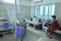 (Ảnh minh họa: TTXVN phát)