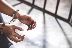 Đồng Nai: Bắt giữ hai đối tượng cướp giật tài sản sau 7 giờ gây án