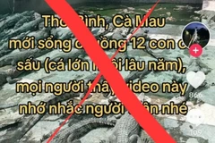 Thông tin '12 con cá sấu sổng chuồng' là sai sự thật. 