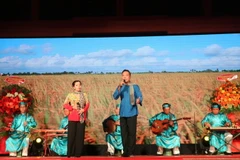 Tiết mục biểu diễn của Ban đờn ca tài tử tỉnh Long An. (Ảnh: Đức Hạnh/TTXVN)