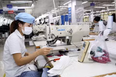 Công nhân làm việc trong xưởng may hàng xuất khẩu. (Ảnh: Trần Việt/TTXVN)