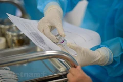 Vaccine ngừa COVID-19. (Ảnh: Vietnam+)