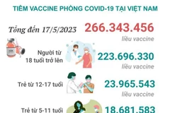 [Infographics] Tình hình tiêm vaccine phòng COVID-19 tại Việt Nam
