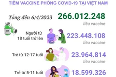 [Infographics] Tình hình tiêm vaccine phòng COVID-19 tại Việt Nam