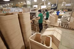 Sản xuất gỗ ván ép cong xuất khẩu tại nhà máy của Công ty TNHH Gỗ ván ép Nhật Nam, xã An Điền, huyện Bến Cát, tỉnh Bình Dương. (Ảnh: Vũ Sinh/TTXVN)
