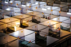 Tác phẩm "Bệnh viện dã chiến sẵn sàng tác chiến” của tác giả Nguyễn Đăng Giang.