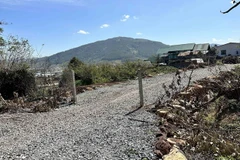 Tại vị trí Km212+80, bên phải tuyến cao tốc Liên Khương-Prenn (theo hướng từ Thành phố Hồ Chí Minh đi Đà Lạt), các hộ dân đã tự ý phá hàng rào lưới B40 để mở đường ô tô rộng khoảng 5,5m, chiều dài 50m từ khu dân cư đấu nối với cao tốc. (Ảnh: Nguyễn Dũng/T