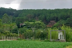 Khu vực đất rừng bị gia đình bà Ma Đuệ lấn chiếm. (Ảnh: Quốc Hùng/TTXVN)