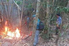 Vào lúc 11h10 ngày 29/3, xảy ra 1 vụ cháy rừng tại xã Tân Hải (thị xã Phú Mỹ) đoạn tiếp giáp giữa địa bàn phường Kim Dinh, thành phố Bà Rịa. (Ảnh: TTXVN phát)