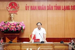 Phó Chủ tịch Ủy ban Nhân dân tỉnh Lạng Sơn Lương Trọng Quỳnh phát biểu chỉ đạo. (Ảnh: Thái Thuần/TTXVN)