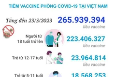 [Infographics] Tình hình tiêm vaccine phòng COVID-19 tại Việt Nam