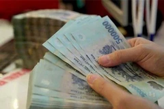 Ảnh minh họa. (Nguồn: Vietnam+)