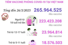 [Infographics] Tình hình tiêm vaccine phòng COVID-19 tại Việt Nam