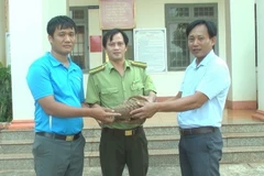 Cá thể Tê Tê Java quý hiếm được 2 giáo viên bàn giao cho Hạt kiểm lâm. (Ảnh: TTXVN phát)